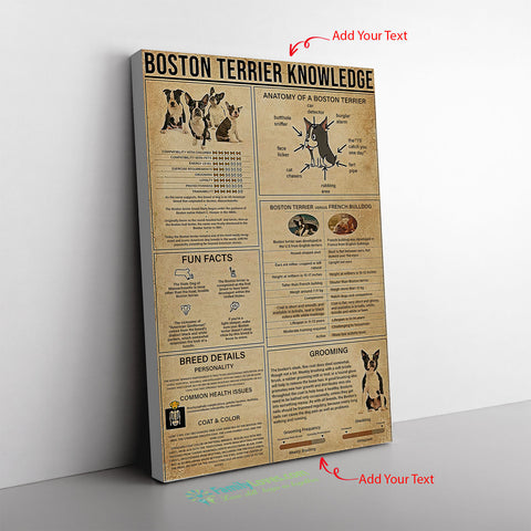Boston Terrier Knowledge Canvas Wall All Size