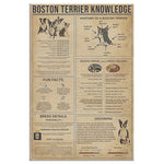 Boston Terrier Knowledge Canvas Wall All Size