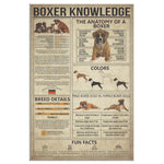 Boxer Knowledge Canvas Wall All Size