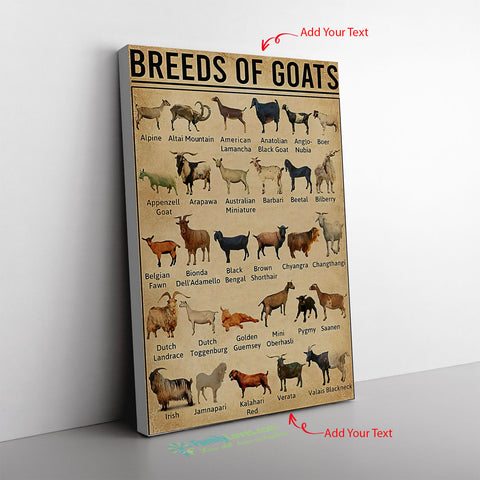 Breeds Of Goats Canvas Wall All Size