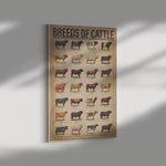 Breeds Of Cattle Print Canvas Wall Art Anniversary Birthday Christmas Housewarming Gift Home Canvas Wall All Size