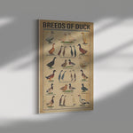 Breeds Of Duck Print Canvas Wall Art House Sign Anniversary Birthday Christmas Housewarming Gift Home Canvas Wall All Size