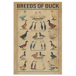 Breeds Of Duck Print Canvas Wall Art House Sign Anniversary Birthday Christmas Housewarming Gift Home Canvas Wall All Size