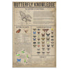 Butterfly Knowledge Canvas Wall All Size
