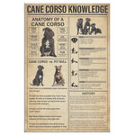Cane Corso Know Ledge Canvas Wall All Size