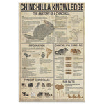 Chinchilla Knowledge Canvas Wall All Size