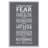 I Must Fear Fear Is The Mind Killer Frame Canvas All Size