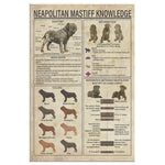 Neapolitan Mastiff Knowledge Vertical Canvas Wall All Size