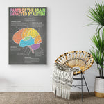 Parts Of The Brain Impacted By Autissm Canvas Wall All Size
