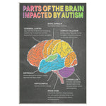Parts Of The Brain Impacted By Autissm Canvas Wall All Size