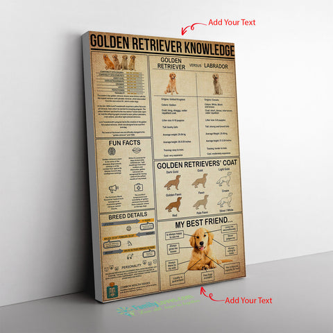 Poster Golden Retriever Knowledge Portrait No Frame Canvas Wall All Size