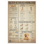 Poster Golden Retriever Knowledge Portrait No Frame Canvas Wall All Size