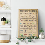 The Type Of Geckos Canvas Wall All Size