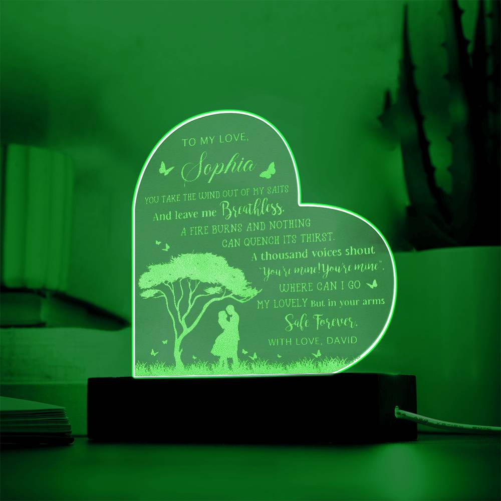 Personalized Name To My Love You Take The Wind Out Of My Saits Engraved Acrylic Heart Plaque