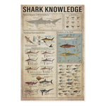 Shark Knowledge Canvas Wall All Size Matte Canvas (0.75")